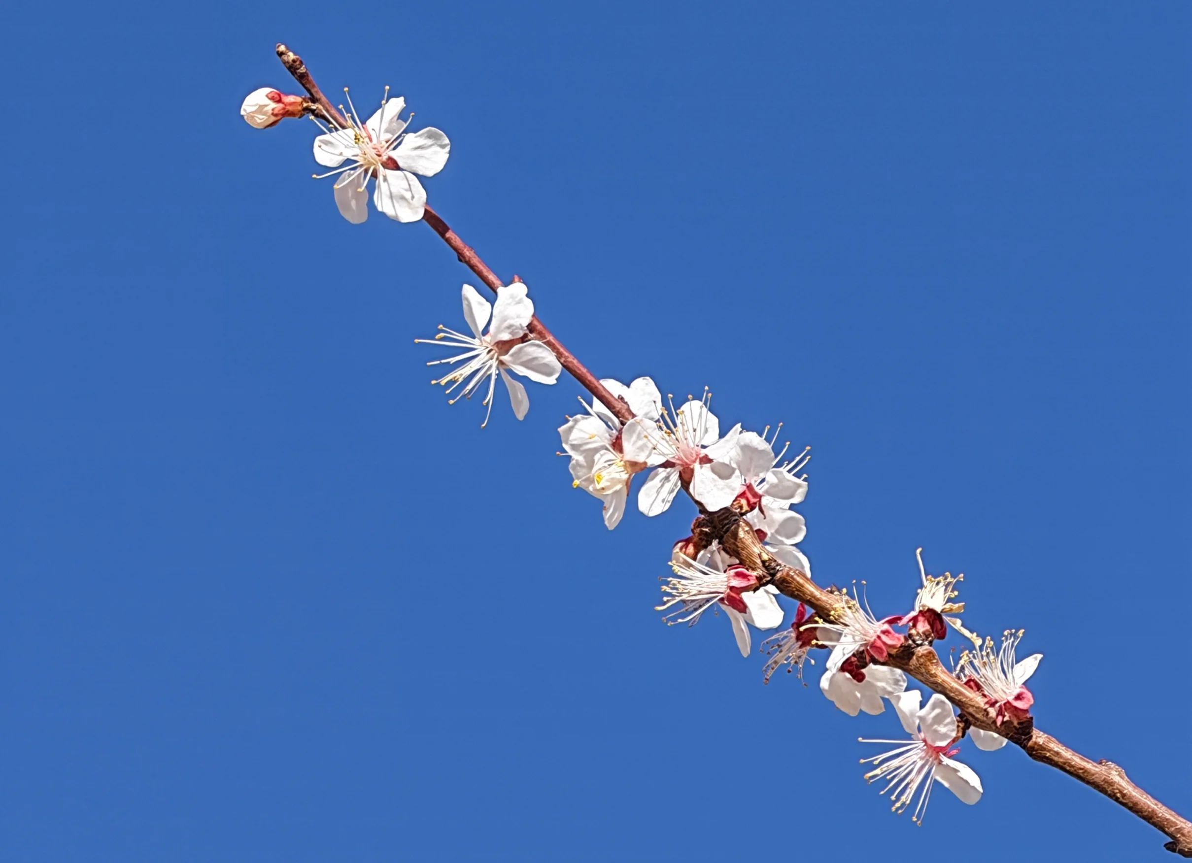 我写了个网页端的图片转换工具“悦·图片转换”